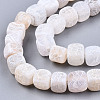 Natural Weathered Agate Beads Strands G-T131-57-3