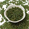 Transparent Colours Glass Seed Beads SEED-F006-03A-04-2