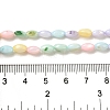 Rainbow Color Dyed Natural Freshwater Shell Beads Strands X1-SHEL-G018-02H-4