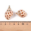 Natural Sea Shell Pendants SSHEL-N038-50-3