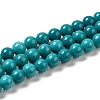 Natural Howlite Beads Strands G-B049-E01-01A-1