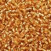 TOHO 8/0 Round Beads SEED-TR08-0022B-2