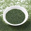 MIYUKI Round Rocailles Beads X-SEED-G007-RR0350-3