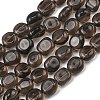 Natural Ice Obsidian Beads Strands G-P623-A01-02-2