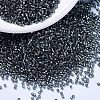 MIYUKI Delica Beads SEED-MY11-DB2166-1