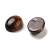 Natural Tiger Eye Cabochons G-G145-01A-29-2