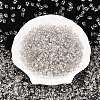 Baking Paint Transparent Glass Seed Beads X-SEED-N006-05A-3