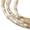 Natural Freshwater Shell Beads Strands SSHEL-B002-17-3