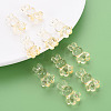 Transparent Acrylic Beads MACR-S373-81-B04-7