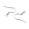 304 Stainless Steel Earring Hooks STAS-P221-04P-2