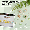 6 Bags 2 Colors Resin Cabochons MRMJ-SC0001-26-5