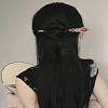 2Pcs 2 Colors Vintage Alloy Hair Sticks OHAR-LP0004-01B-3