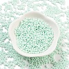 Baking Paint Glass Seed Beads X1-SEED-A033-05R-2