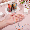 2 Rolls 2 Colors Segment Dyed Round Polyester Twisted Cords OCOR-TA0003-65B-6