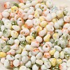 Baking Paint Glass Seed Beads SEED-F006-01A-11-3
