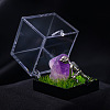 Natural Amethyst Cluster & Miner Modeling Mineral Specimen Box PW-WG43597-07-1