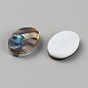 Natural Paua Shell Cabochons FIND-WH0110-867-2