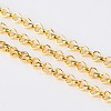 Iron Rolo Chains CH-S067-G-LF-1