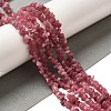 Natural Red Tourmaline Beads Strands G-L608-B07-01-2