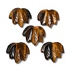 Natural Tiger Eye Carved Pendants G-K353-01J-1