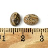 Natural Picture Jasper Cabochons G-A094-01B-48-3