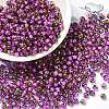 Glass Seed Beads X1-SEED-H002-B-D207-1