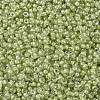 MIYUKI Round Rocailles Beads SEED-G007-RR0378-3