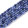 Natural Sodalite Beads Strands G-G139-A07-02-1