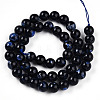 Natural Gemstone Beads Strands G-T141-18E-3