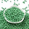 6/0 Glass Seed Beads SEED-L011-08A-15-2