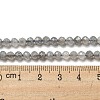 Faceted Round Natural Labradorite Bead Strands LS-G-I156-03-4mm-6