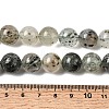 Natural Fuchsite Beads Strands G-K285-40D-1-5