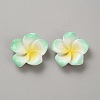 Two Tone Resin Cabochons LS-RESI-WH20010-01B-1