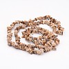 Natural Picture Jasper Chips Beads Strands X-F002-2