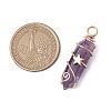 2Pcs 2 Styles Natural Amethyst Double Terminated Pointed Pendants PALLOY-JF03122-01-2