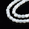 Natural Trochid Shell/Trochus Shell Beads Strands SSHEL-N034-121-B01-3