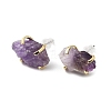 Raw Rough Natural Gemstone Stud Earrings EJEW-R148-01LG-3