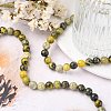 Natural Yellow Turquoise(Jasper) Beads Strands GSR007-6