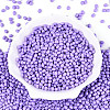 Baking Paint Glass Seed Beads SEED-N007-29A-2