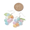 Colorful Grapes Natural Selenite(Dyed) Dangle Earrings EJEW-TA00499-3