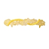 Handmade Glass Seed & Natural Citrine Chip Beads Braided Bead Bracelets BJEW-MZ00250-01-3