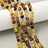 Natural Amber Beads Strands G-L095-E01-01-1