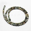 Natural African Turquoise(Jasper) Beads Strands X-G-D840-90-10mm-2