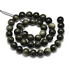 Natural Golden Sheen Obsidian Beads Strands X-G-S150-20-10mm-2