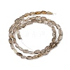 Natural Smoky Quartz Beads Strands G-H085-D01-01-3