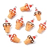20Pcs 2 Styles Resin Pendants RESI-CJC0031-006P-8