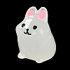 Rabbit Luminous Resin Display Decorations DJEW-F023-B05-1