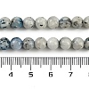 Natural Blue Ice Glacierite Stone Beads Strands G-H062-A04-01-5