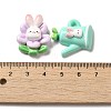 Cartoon Rabbit Theme Opaque Resin Decoden Cabochons X-RESI-R443-04-3