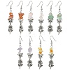 Natural Mixed Stone Chip Dangle Earrings Set for Women EJEW-JE06248-2